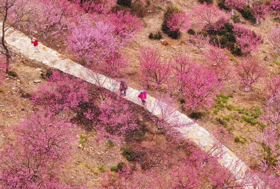 臺風“摩羯”預計今天下午將第三次登陸